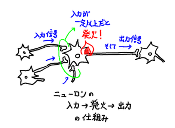 生物のニューロン間で信号が伝わるイメージ